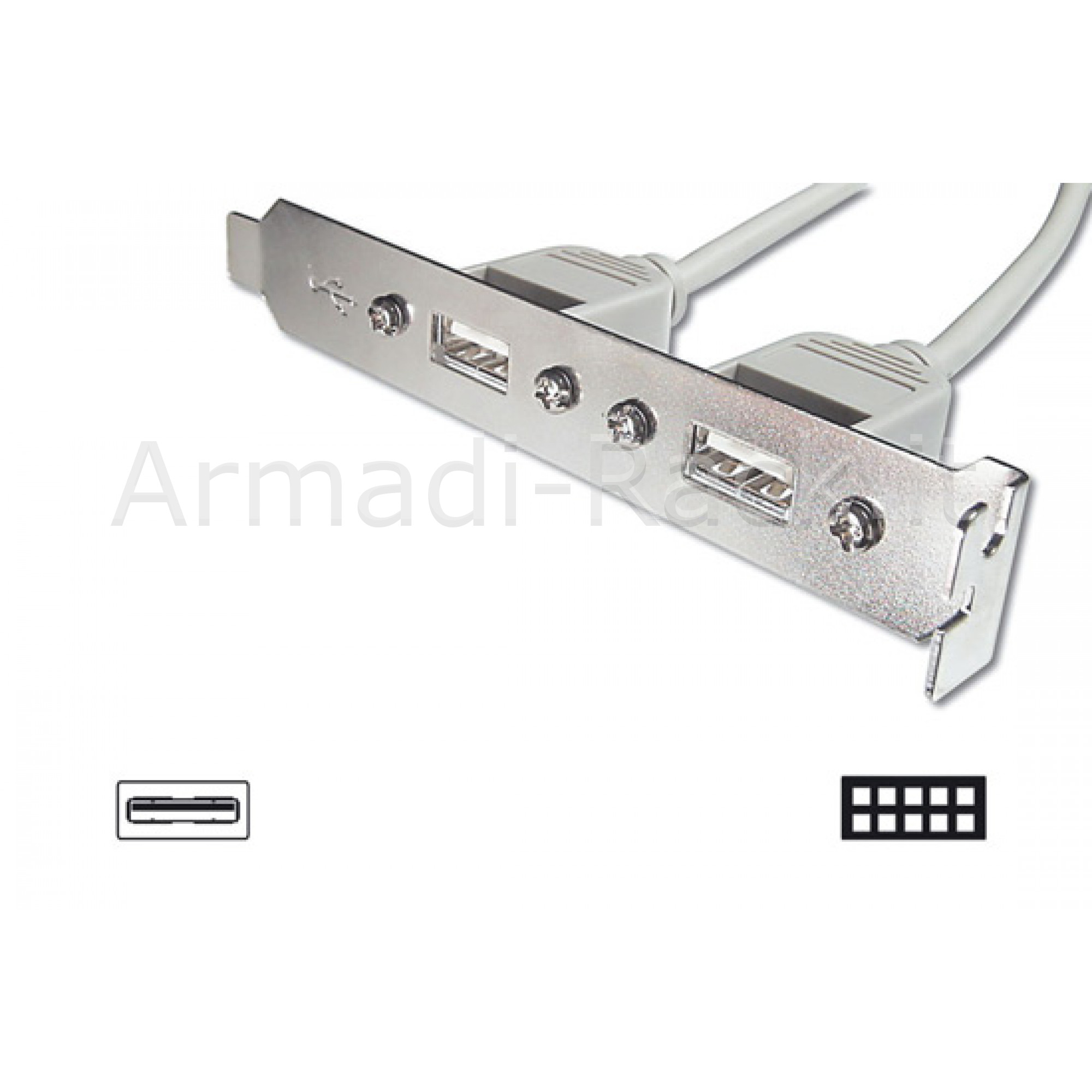 Pannello Slot con 2 Connettori Esterni USB Tipo A, Femmina -...