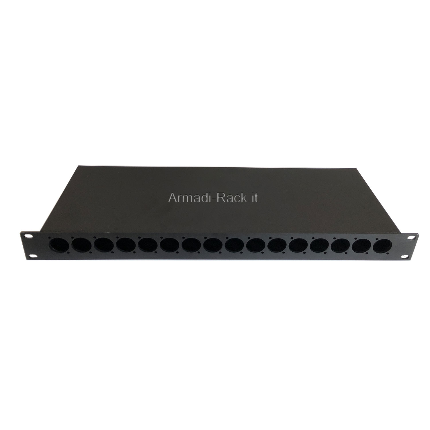 Contenitore rack 19'' 1U con pannello frontale lavorato su disegno (16...