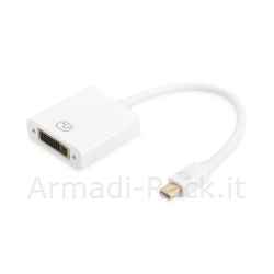 Cavo Adattatore Displayport Mini Dp Maschio - Dvi-D(24+5) Femmina