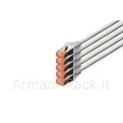 confezione 5 cavi cat 6 schermati s/ftp varie lunghezze e colori