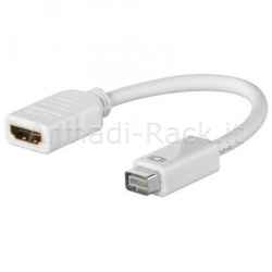 Adattatore mini dvi maschio - hdmi femmina