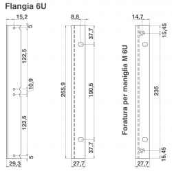 Flangia 19" per subracks serie gold 6U con perno di massa